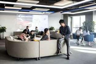 數(shù)字化與生物技術(shù)雙輪驅(qū)動，領(lǐng)悅數(shù)字信息技術(shù)掛牌助力華晨寶馬以客戶為中心戰(zhàn)略加速轉(zhuǎn)型